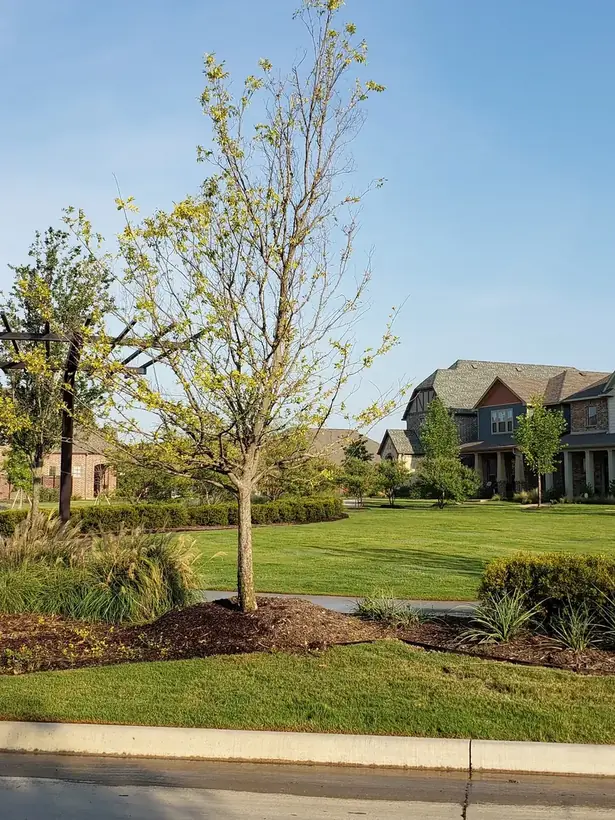 Viridian, Arlington, TX